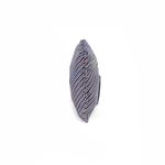 Tapones-de-O�dos-en-Color-Negro-|-Cloe